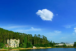 開平網站建設