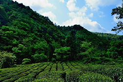 文縣網站建設