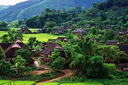 勐臘網站建設