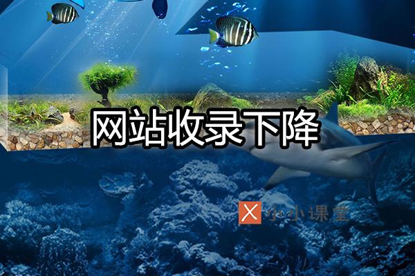 收錄量驟降的原因有哪些？這八點需要注意 怎么網(wǎng)站改版