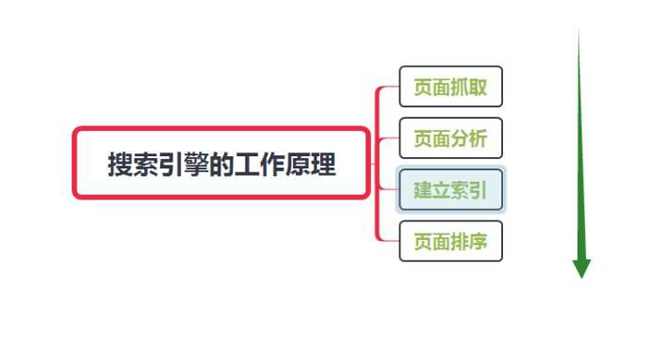 網站怎么讓蜘蛛快速抓?。? width=